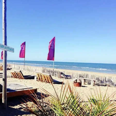 Holiday home Sea Lodges - Pitstop 4 - One Dog Allowed Zandvoort